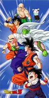 Dragon Ball Z Badetuch Strandtuch Strandlaken 70 x 140 cm
