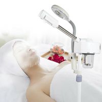 2IN1 Dampfgerät Bedampfer Kombigerät Gesichtssauna Maschine Lupenlampe Salon Spa 750 W