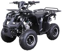 Midiquad Miniquad ATV S-8 125 cc Quad Pocket Bike Kinderquad Benzin Pocketquad (Schwarz)