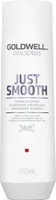 Goldwell Dualsenses Just Smooth Taming Shampoo 250ml
