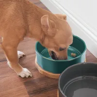 Navaris Fressnapf Futternapf Set aus Keramik - 2x Hundenapf Katzennapf Futterschale mit Unterlage aus Eichenholz - Fressnäpfe für Hunde und Katzen