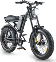 E-Bikes 20" Fat Tire Elektrofahrräder 15Ah Off-Road Mountainbike E-Mountainbike 250W Elektrofahrrad 25KM/H