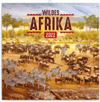 Wildes Afrika Wandkalender 2022 Kalender, Broschürenkalender mit Monatskalendarium, Broschurkalender Tierkalender 30 x 30 cm (30x60 Geöffnet)