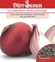 Dürr-Samen - Sommerzwiebeln Braunschweiger - Saatgut - 0059