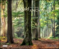 Waldspaziergang 2023 - Fotokunst-Kalender - Querformat 58,4 x 48,5 cm - Spiralbindung