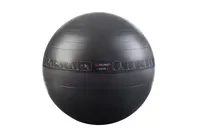 Gymnastický míč Pure2Improve 65 cm černý