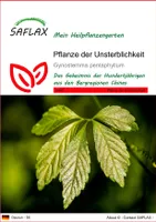 SAFLAX - Heilpflanzen - Pflanze der Unsterblichkeit - 30 Samen - Gynostemma pentaphyllum