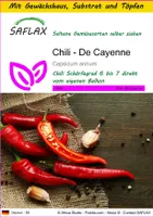 SAFLAX Anzucht Set - Chili - De Cayenne - Capsicum annum - 20 Samen - Mit Mini-Gewächshaus, Anzuchtsubstrat und 2 Töpfen