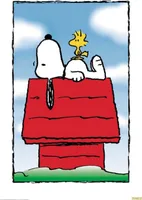 Peanuts Poster  68,5 x 101,5 cm
