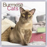 Burmese Cats - Burma Katzen 2023 - 16-Monatskalender