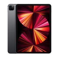 iPad Pro 11 Zoll 5G 1 TB space grau