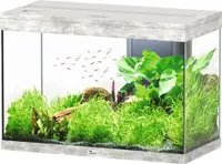 Aquarium aquatlantis Splendid 145 inkl. Beleuchtung, Filter Steinoptik