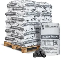 ANMAG Steinkohle 25 - 60 mm 20kg x 50 Sack 1000kg Palette
