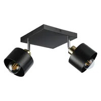 LED Pendelleuchte Wandleuchte 24x24x20cm 2xE27 max 35W 350° IP20 Innenlampe Schwenkarm Schwarz Kupfer
