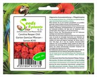 20x Carolina Reaper Chili Garten Gemüse Pflanzen – Samen #240