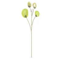 Swarovski Garden Tales Eucalyptus 5557803