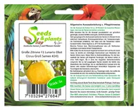 5x Große Zitrone F1 Lunario Citrus Obst Pflanzen - Samen #241