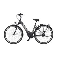 FISCHER CITA 5.0i E-Bike - schiefergrau matt, 28 Zoll, RH 44 cm, 504 Wh Restposten