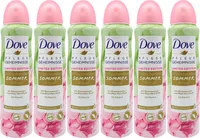 6x Dove Deodorant Sommer Ritual Rosenwasser & Aloe Vera 150ml