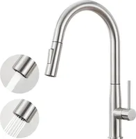 Auralum ausziehbare Küchenarmatur, Hochdruck Wasserhahn aus Edelstahl, 360° schwenkbar, Mischbatterie mit 2 Strahlarten, Gebürstet