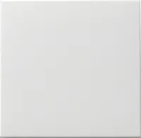 Gira WIPPE TASTSCHALTER WECHSEL (091603)