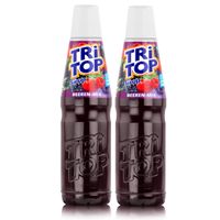 Tri Top Getränke-Sirup Beeren-Mix 600ml - Fruchtiger Geschmack (2er Pack)