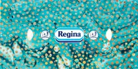 Regina Kosmetiktücher 96 Stück