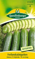 Quedlinburger Saatgut - Freilandsalat-Gurken Konsa - Samen - 413822