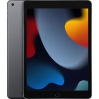 Apple iPad 10.2 Wi-Fi 256 GB Grau - 10,2" Tablet - A13 25,9cm-Display