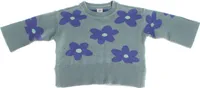 Langarmpullover 484730 Mädchen