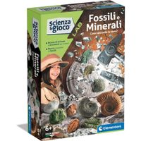 Fossilien und Mineralien