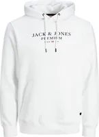 JACK & JONES Herren Kapuzensweatshirt JPRBLUARCHIE Sweat Hood Noos