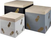 Holzkisten 3er Set Allzweckkiste mit Deckel Spielzeugkiste Aufbewahrung Holzbox