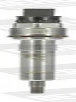 BorgWarner (BERU) PSG007 Glühkerze