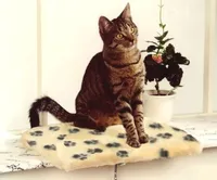 Silvio Design Katzen Fensterliege Jacquard-Pfote