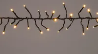 Coen Bakker LED Lichterkette Weihnachtsbaum Cluster für Außen 12,5m warmweiß 960 LEDs Dimmer Timer