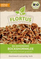 Keimsprossen Bockshornklee |Keimsprossen von FLORTUS