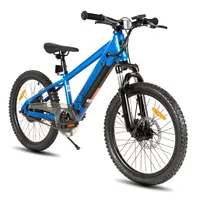 JOYSTAR Elektrofahrrad für Kinder und Jugendliche ab 7 Jahren mit bürstenlosem 250W Motor, 20 km/h elektrisches Mountainbike mit herausnehmbarem Akku
