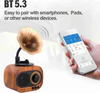 BT reproduktor,Drevený BT reproduktor,Vintage BT reproduktory,Reproduktor reproduktora,Prenosný reproduktor