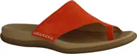 Gabor Zehentrenner Damen 31383036393738 Pink 40 EU