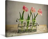 Calvendo  Textil-Leinwand 45 cm x 30 cm quer Stillleben mit Tulpen, Schwarz Nailia; 7451620
