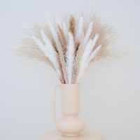 Rivello - Home & Living- 60 STK getrocknetes Pampasgras – 45cm Lang, 3 Farben, 100% Natürlich und Flauschige Trockenblumen – Deko-Blumen Pampas-Gras