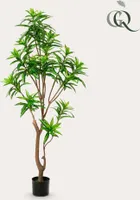 Kunstpflanze - Drachenbaum - 155 cm