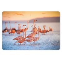 MuchoWow® Schreibtischunterlage Flamingo - Tiere - Wasser - Rosa 60x40 cm - XXL Mauspad - Großes Mauspad