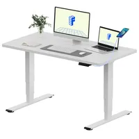 FLEXISPOT höhenverstellbarer Schreibtisch 120x80cm 120KG Tragkraft Doppelmotor USB, 4 Memory Funktion Antikollisionsschutz Einteilige Tischplatte Weiß
