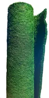Kokos Winterschutz Pflanzen, Grün, 50 x 150 cm/Naturmaterial Bäume/Frostschutz Kübelpflanzen
