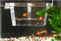 Beeztees Guppybecken - Aquarium - klein - 16x8x8 cm