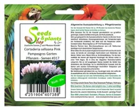 10x Cortaderia selloana Pink Pampasgras Garten Pflanzen - Samen #317