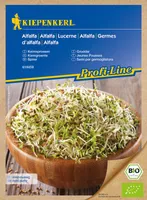 Keimsprossen Alfalfa | Keimsprossen von Kiepenkerl