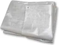 Lalizas Planenmarkise Silber 500 x 400 cm Silber 500 x 400 cm